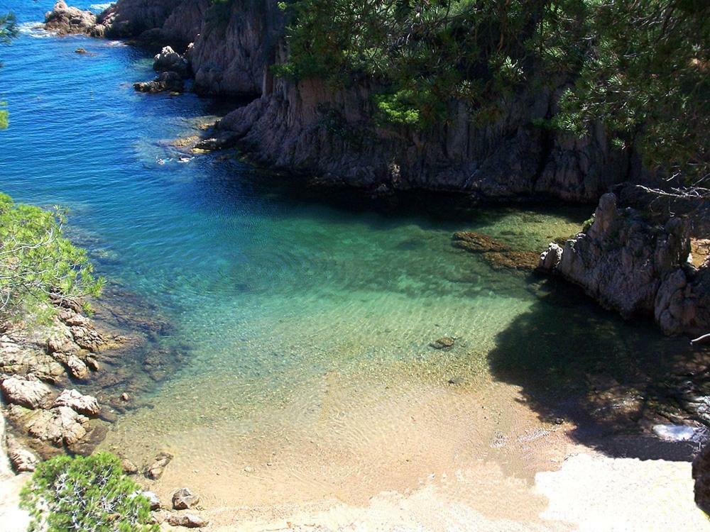 Mirador De Begur Apartment Екстериор снимка